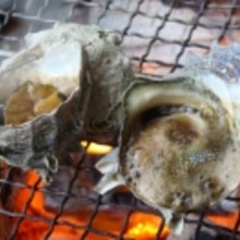 サザエの焼き方 楽天レシピ サザエの焼き方 楽天レシピ