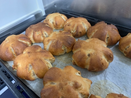 大好物のくるみパン！
焼き立てを思わずパクリしてしまいました。