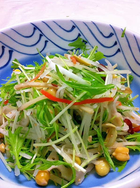 簡単！大根と水菜の彩りサラダ