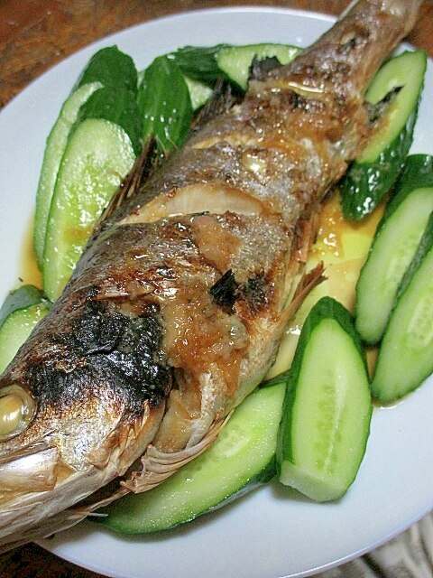 おいしい セイゴのグリル Jポン酢ドレかけ レシピ 作り方 By 一点集中力 楽天レシピ おいしい セイゴのグリル Jポン酢ドレかけ レシピ 作り方 By 一点集中力 楽天レシピ