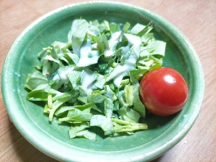 生で美味しい！空芯菜のサラダ