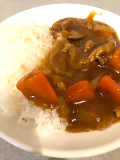 ハヤシカレー