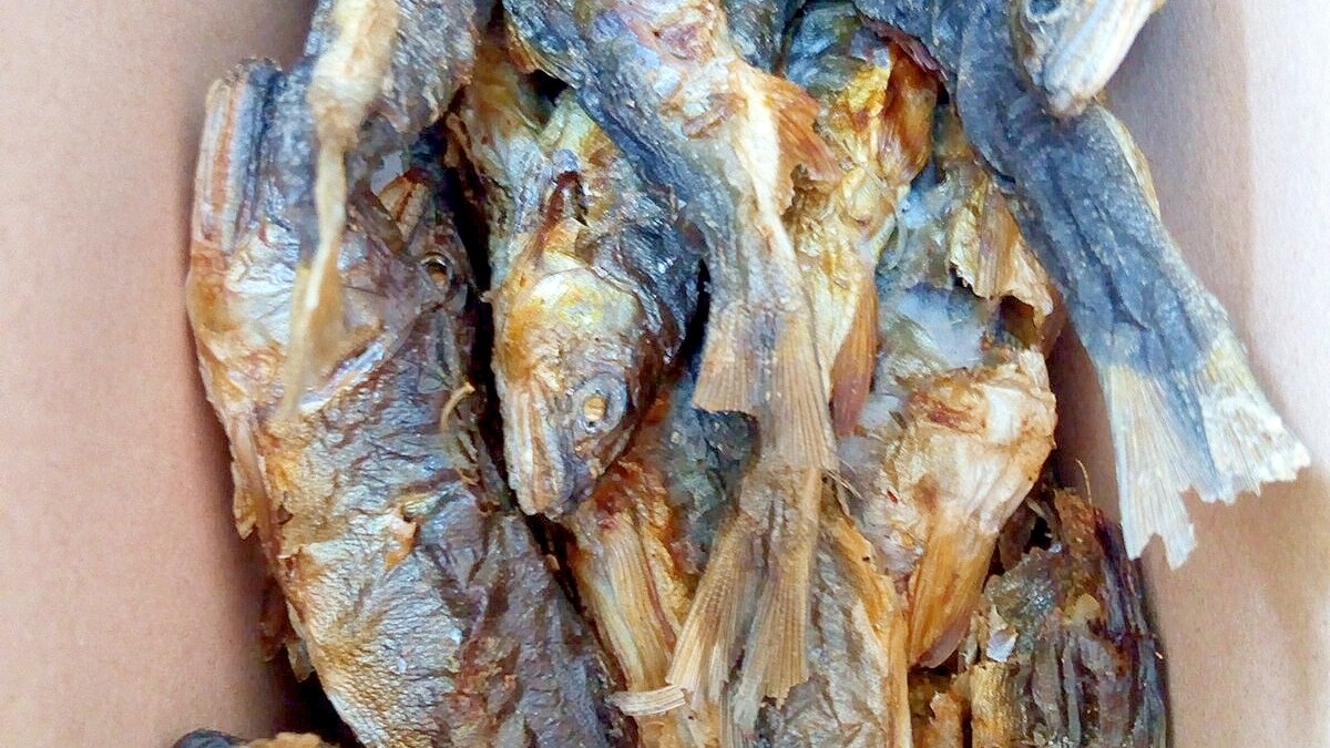 落ち鮎でも 鮎の焼き干し レシピ 作り方 By Nyan260 楽天レシピ 落ち鮎でも 鮎の焼き干し レシピ 作り方 By Nyan260 楽天レシピ