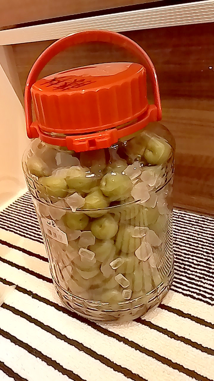 梅シロップ レシピ 作り方 By ラ フジノリ 楽天レシピ 梅シロップ レシピ 作り方 By ラ フジノリ 楽天レシピ