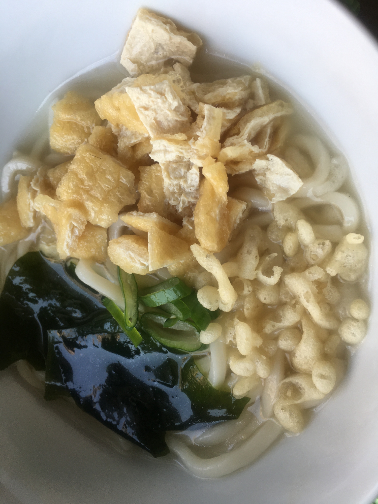 油揚げと天かすの油ダブルな、かけうどん