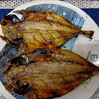 手作り新鮮✨鯵の一夜干し