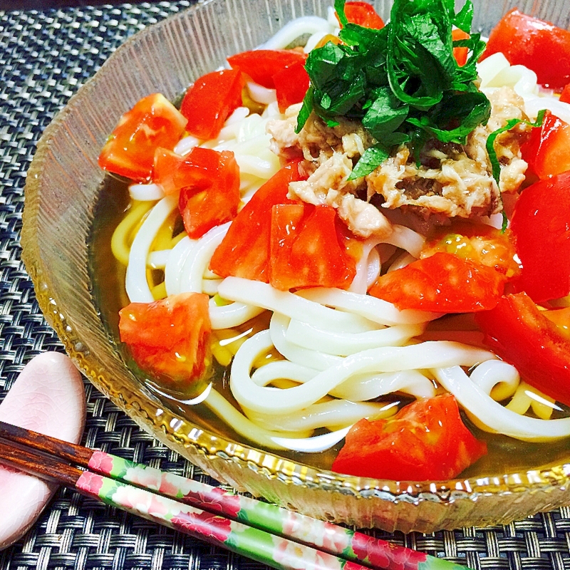 暑い夏にピッタリ！ツナ梅さっぱりぶっかけうどん