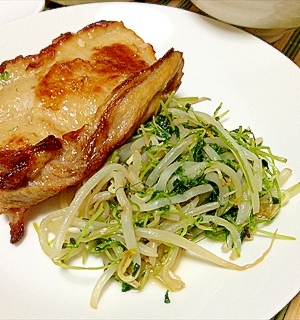 豆苗観察日記…じゃなくて！肉料理の激安つけ合わせ