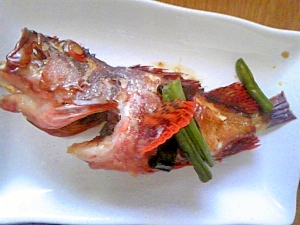 あらかぶの煮つけ レシピ 作り方 By Ta16 楽天レシピ あらかぶの煮つけ レシピ 作り方 By Ta16 楽天レシピ