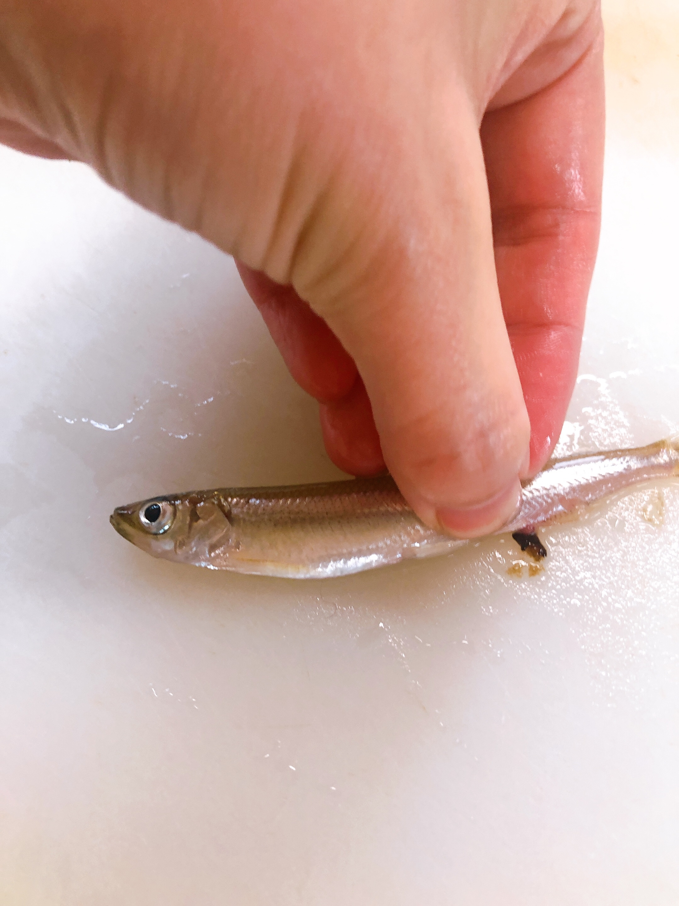 包丁なしでワカサギの簡単下処理 レシピ 作り方 By Chaika 楽天レシピ 包丁なしでワカサギの簡単下処理 レシピ 作り方 By Chaika 楽天レシピ