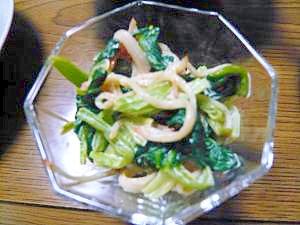 小松菜の和え物