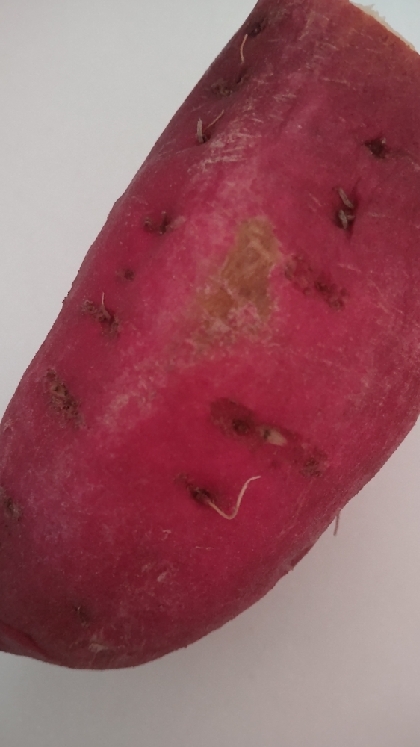 ＊ホクホク焼き芋＊