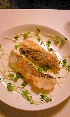 放射能 世代 洗練された 生 たら ムニエル 構成する 余暇 出席する 放射能 世代 洗練された 生 たら ムニエル 構成する 余暇 出席する