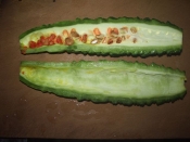 夏のメニューだ ゴーヤーチャンプル レシピ 作り方 By Hsnamaru 楽天レシピ 夏のメニューだ ゴーヤーチャンプル レシピ 作り方 By Hsnamaru 楽天レシピ