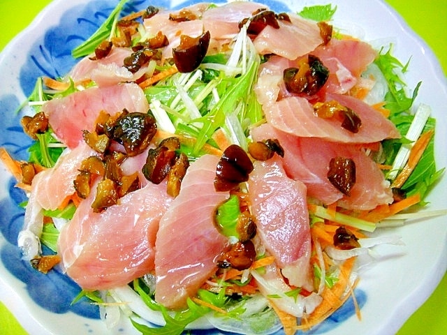 reas1マクロ付き 国産 生本マグロ 中トロ・赤身 ブロック 約1kg – 築地わだつみ