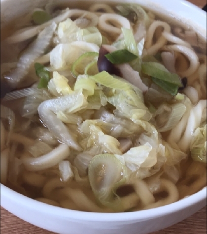 白菜と茹で卵のうどん