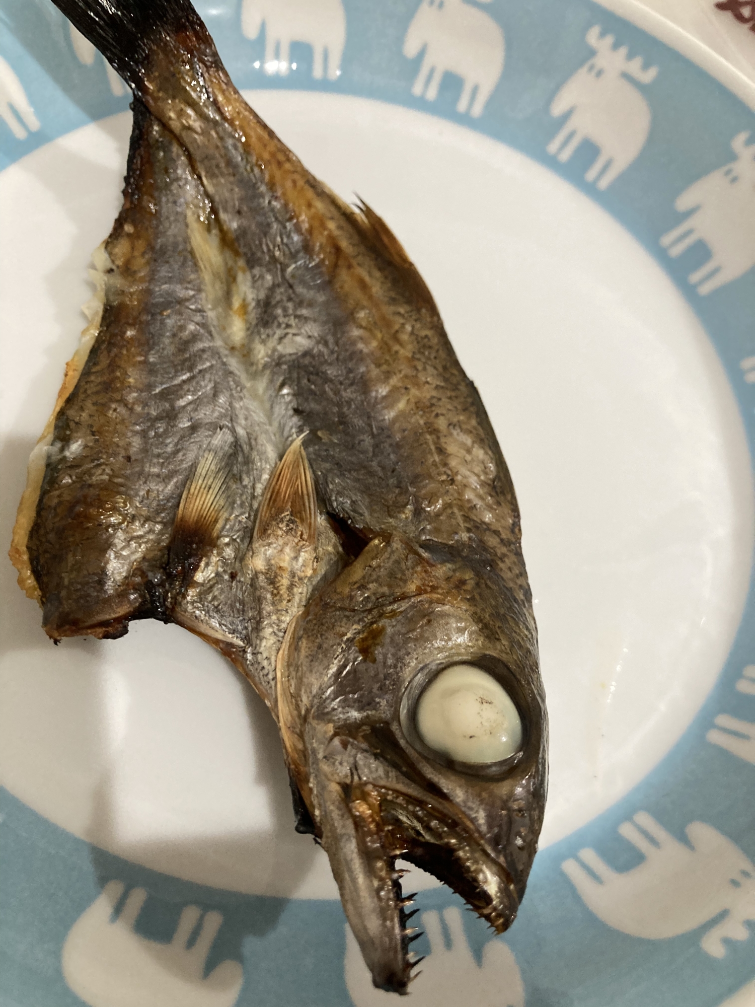 むつの開きの塩焼き レシピ 作り方 By へんてこへんてこママ 楽天レシピ むつの開きの塩焼き レシピ 作り方 By へんてこへんてこママ 楽天レシピ