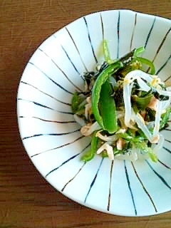 具だくさん!ピーマンともやしの酢の物