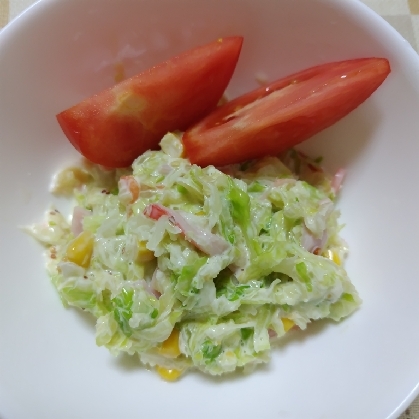 みんな大好きなあの味☆コールスローサラダ