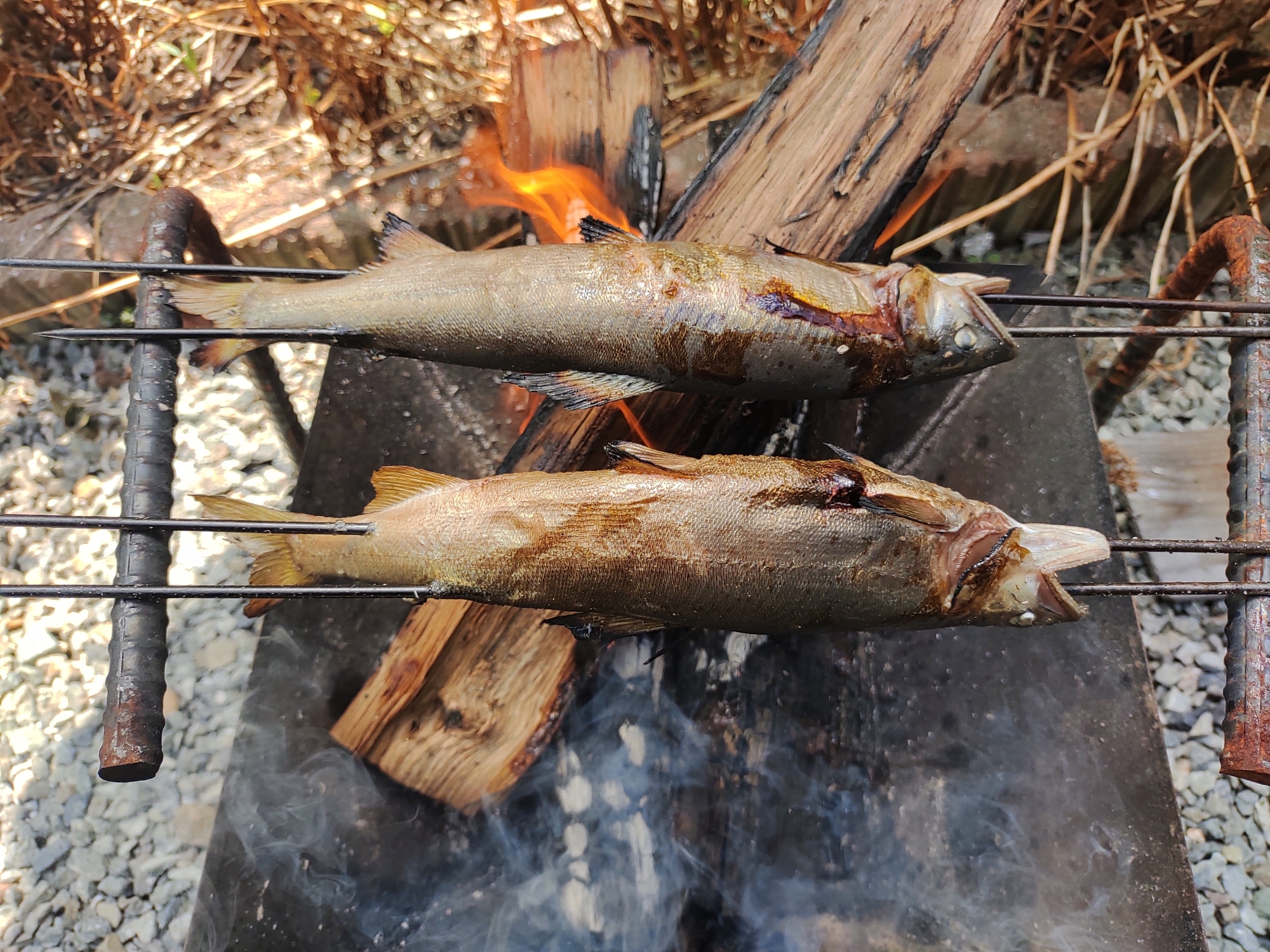 モンハン風鮎焼き