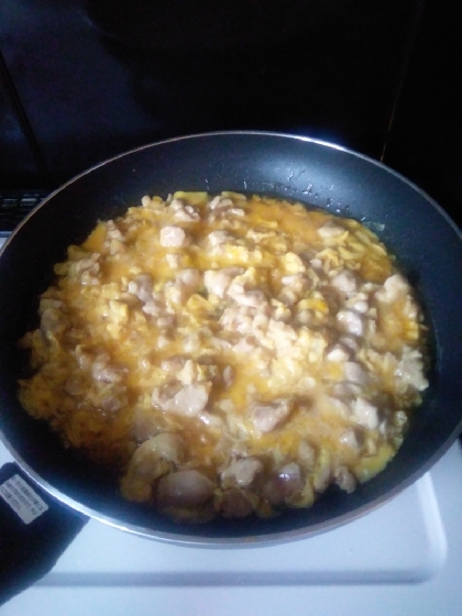 鶏と卵だけの親子水入らず丼の具