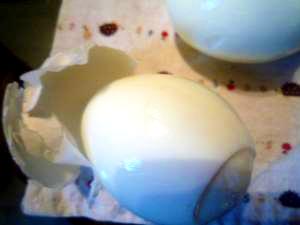 絶対殻がつるんと剥ける茹で卵　ゆぬき