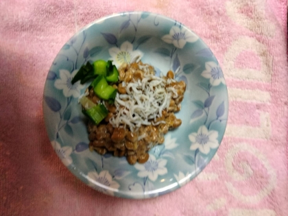 納豆アレンジ 桜エビしらすレタス