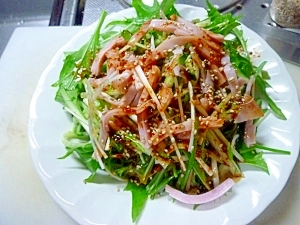 ピリ辛韓国風サラダ