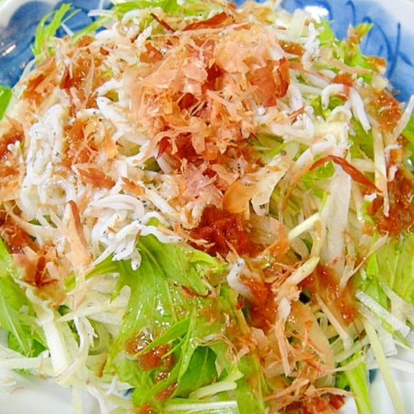 大根と水菜しらすのサラダ 梅ドレッシング レシピ 作り方 By Mint74 楽天レシピ 大根と水菜しらすのサラダ 梅ドレッシング レシピ 作り方 By Mint74 楽天レシピ