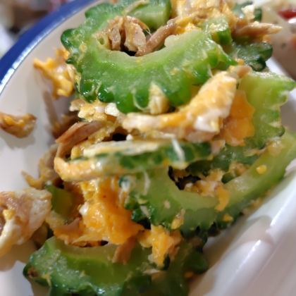 冷凍ゴーヤのツナ入りチャンプル