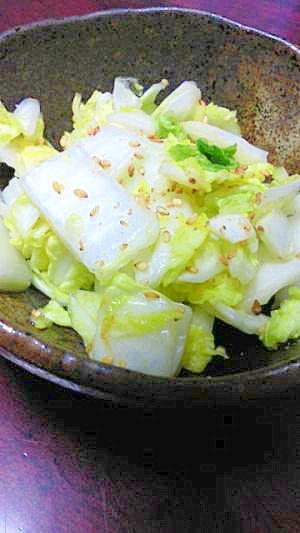 白菜の即席おつけもの