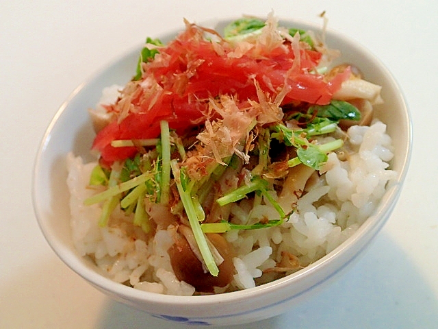 しめじと豆苗と紅生姜の麺つゆご飯