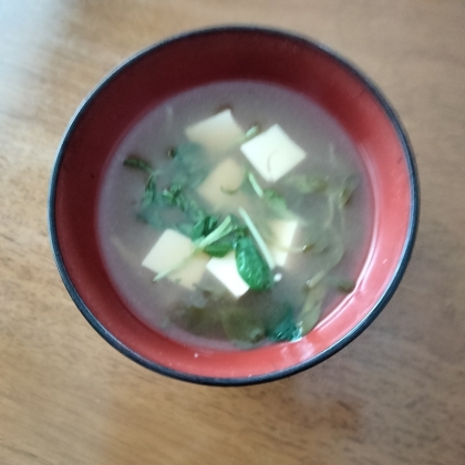 豆苗・たまねぎ・お豆腐のお味噌汁