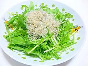 水菜とカリカリしらすサラダ レシピ 作り方 By w w 楽天レシピ 水菜とカリカリしらすサラダ レシピ 作り方 By w w 楽天レシピ