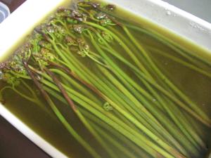 重曹を使ってとても簡単 わらびのアク抜き レシピ 作り方 By らあじ2213 楽天レシピ