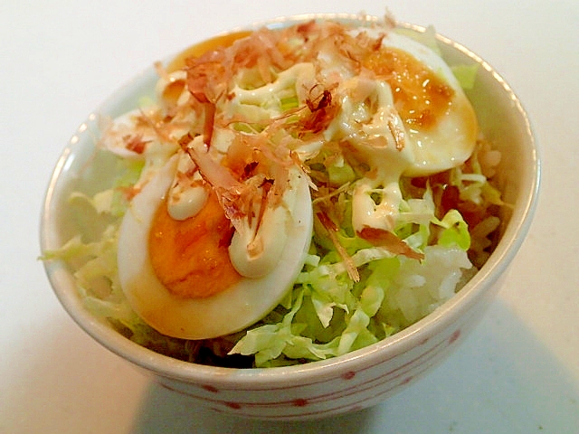 玉ぽん/マヨ/削り節で　白菜とゆで卵のご飯