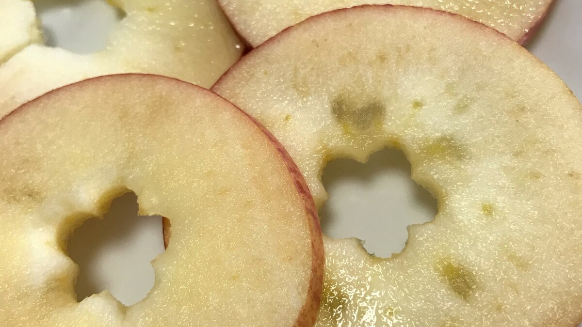 栄養を逃さず 子供も喜ぶ花形の林檎の切り方 レシピ 作り方 By Rママ 楽天レシピ 栄養を逃さず 子供も喜ぶ花形の林檎の切り方 レシピ 作り方 By Rママ 楽天レシピ