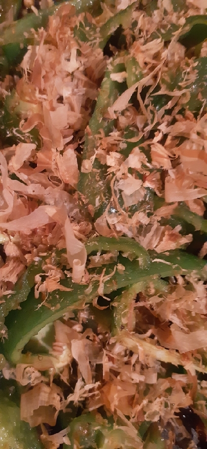 タモリさん考案☆ピーマンの一番美味しい食べ方？！