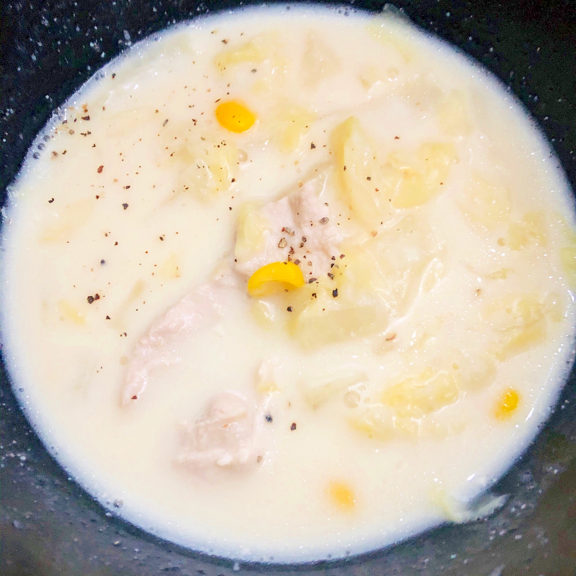 鶏肉と白菜のクリームシチュー
