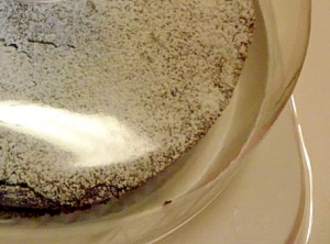 しっとりガトーショコラ