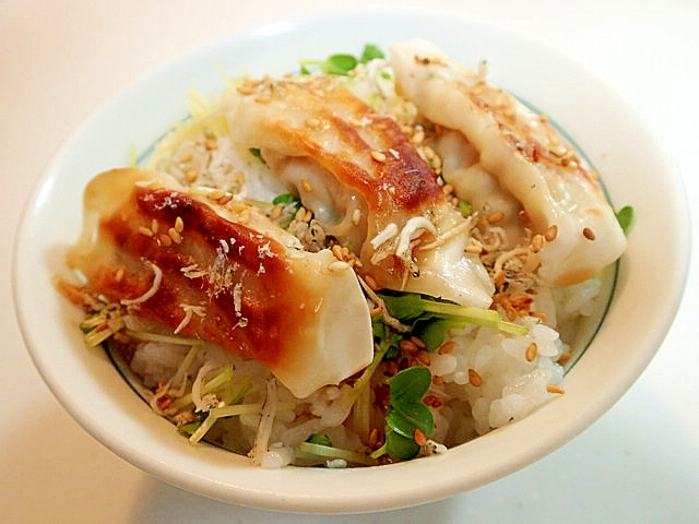 焼き餃子とかいわれ大根とちりめんじゃこのご飯