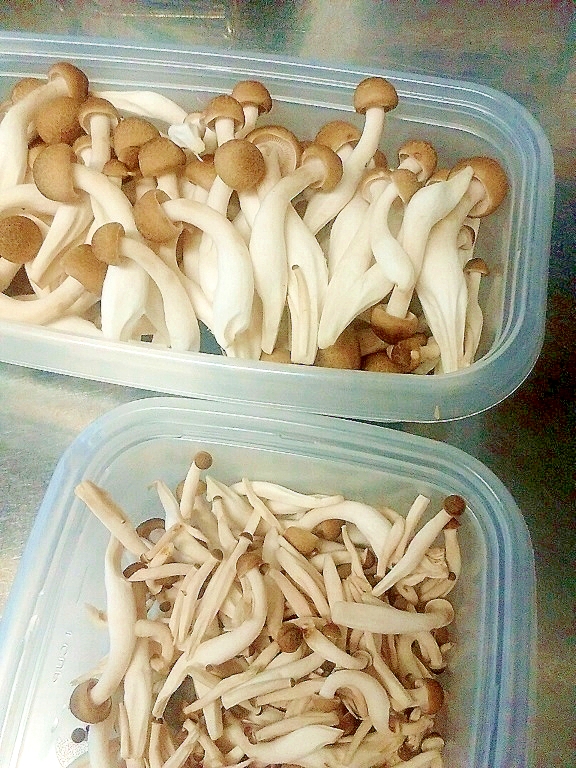 しめじ 冷凍 保存