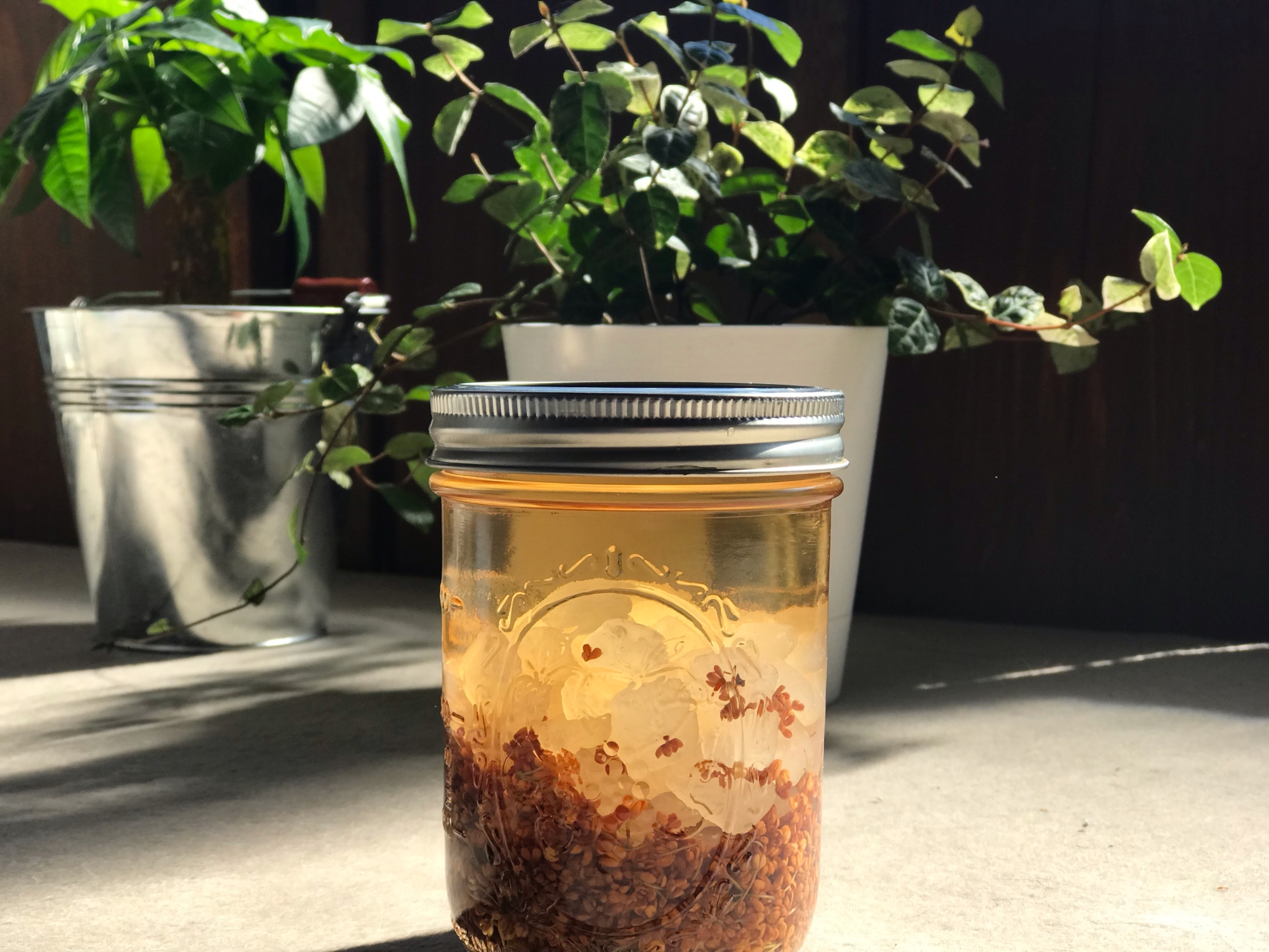 金木犀のお酒 桂花陳酒 焼酎仕込み レシピ 作り方 By 天の文 楽天レシピ 金木犀のお酒 桂花陳酒 焼酎仕込み レシピ 作り方 By 天の文 楽天レシピ