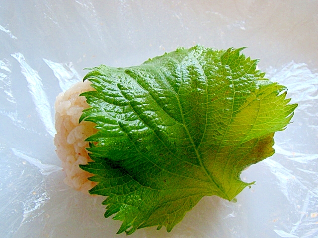 青じそ明太俵おむすび レシピ 作り方 By Sundisk 楽天レシピ 青じそ明太俵おむすび レシピ 作り方 By Sundisk 楽天レシピ