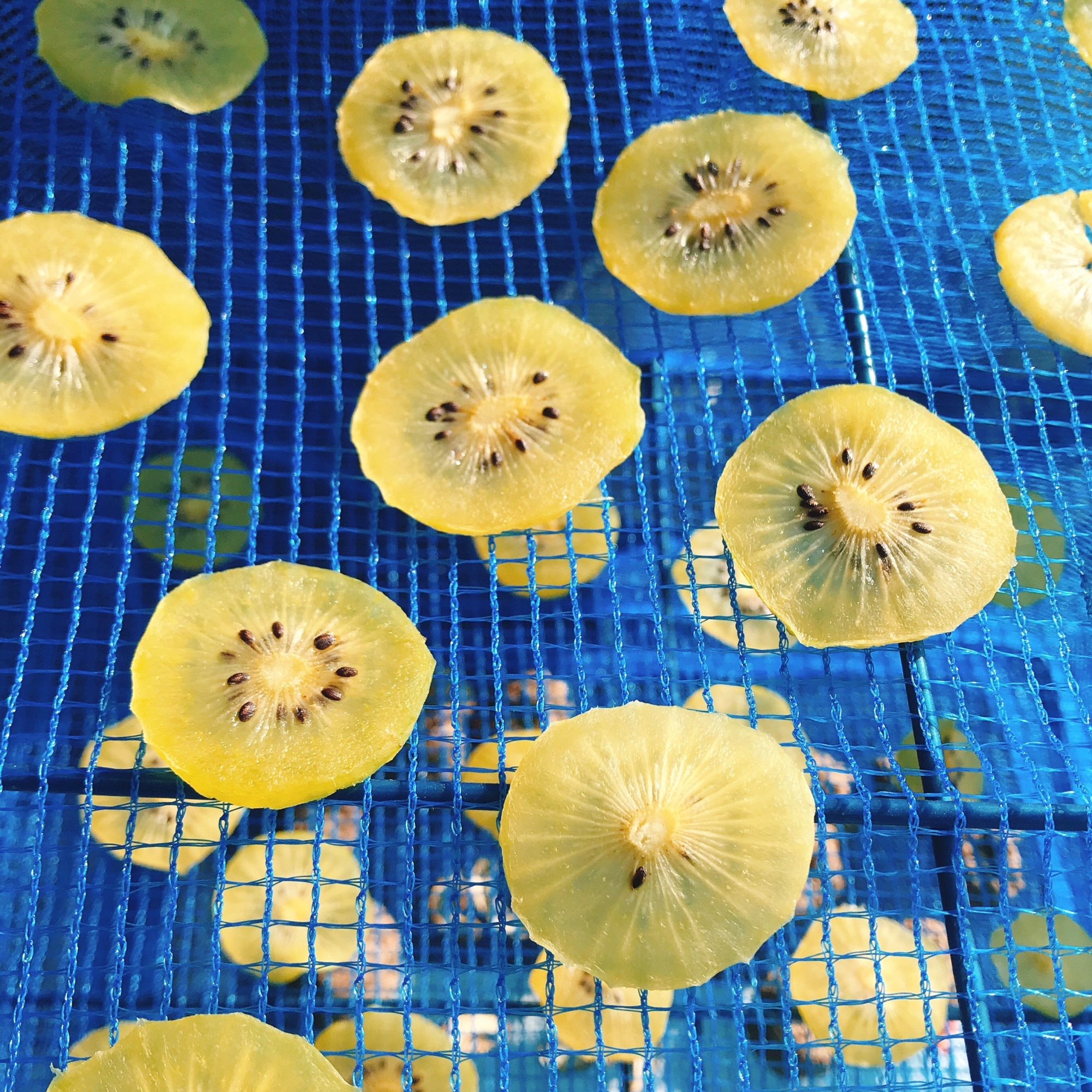 【簡単お菓子】切って干すだけ☆ドライキウイ 保存食