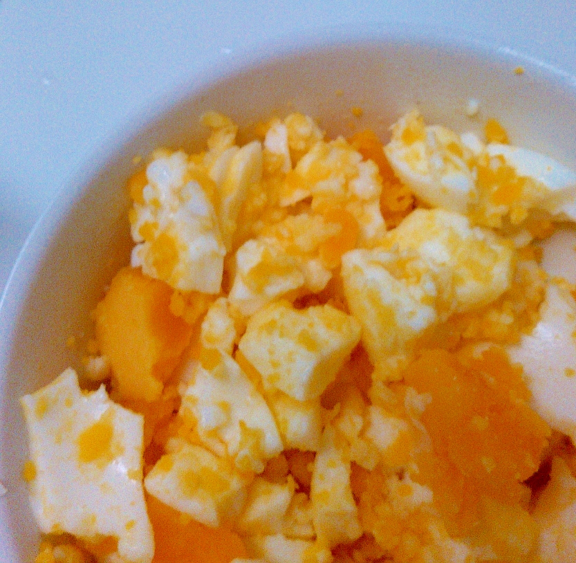 ゆで卵とめんつゆで★かんたん丼