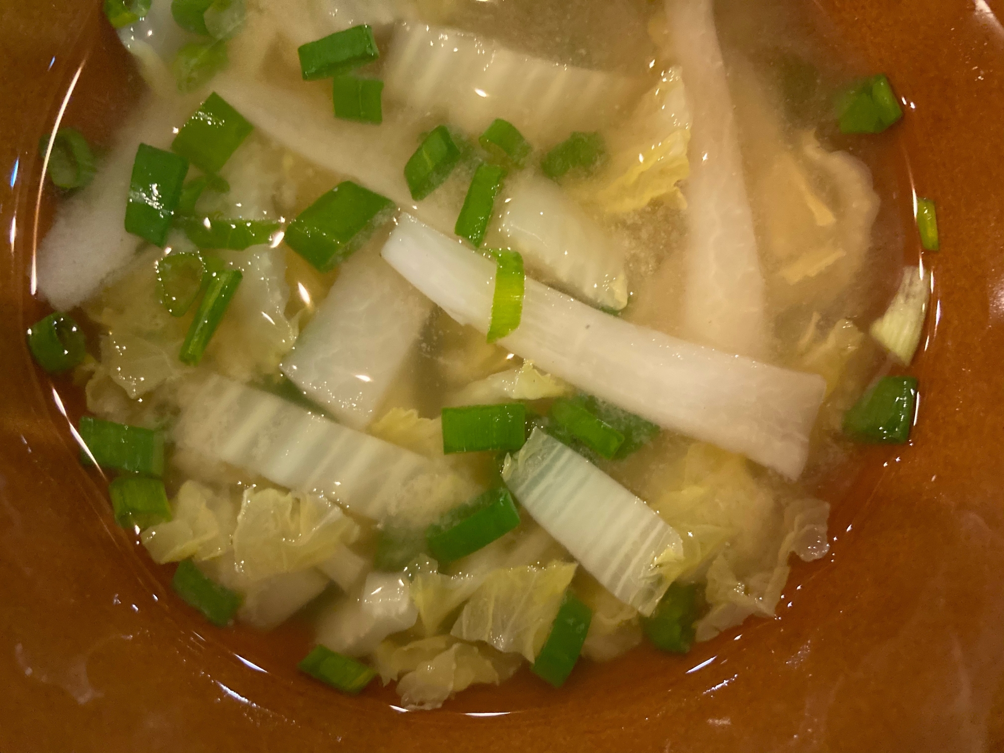 白菜と大根と小ネギのスープ