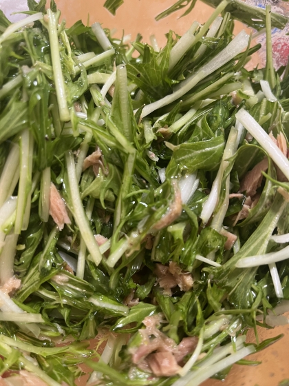 簡単(^^)水菜とツナ缶のネギ塩レモン和え♪