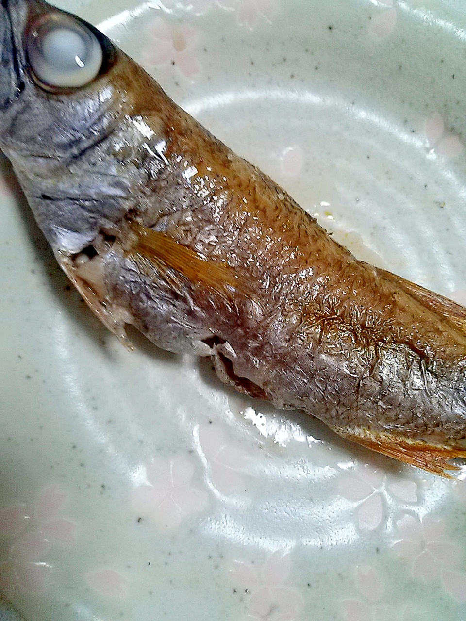 赤むつの塩焼き レシピ 作り方 By にゃりんabc 楽天レシピ