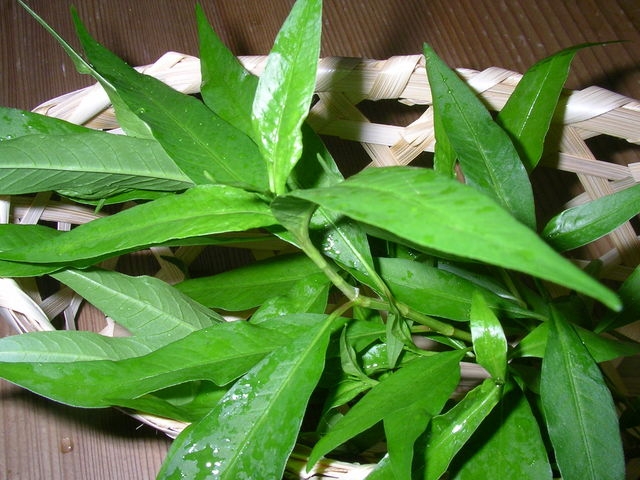 蓼酢 たでず 鮎の塩焼きに欠かせない レシピ 作り方 By Arasoudawane 楽天レシピ 蓼酢 たでず 鮎の塩焼きに欠かせない レシピ 作り方 By Arasoudawane 楽天レシピ